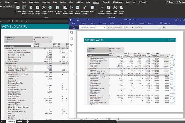 Acterys Dynamic PDF Distribution