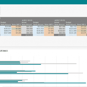 excel report